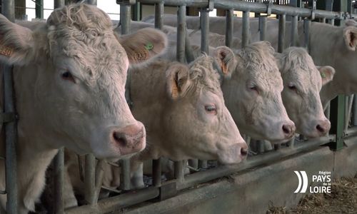 La Région et l’Europe soutiennent l’innovation en agriculture (ferme des Établières)
