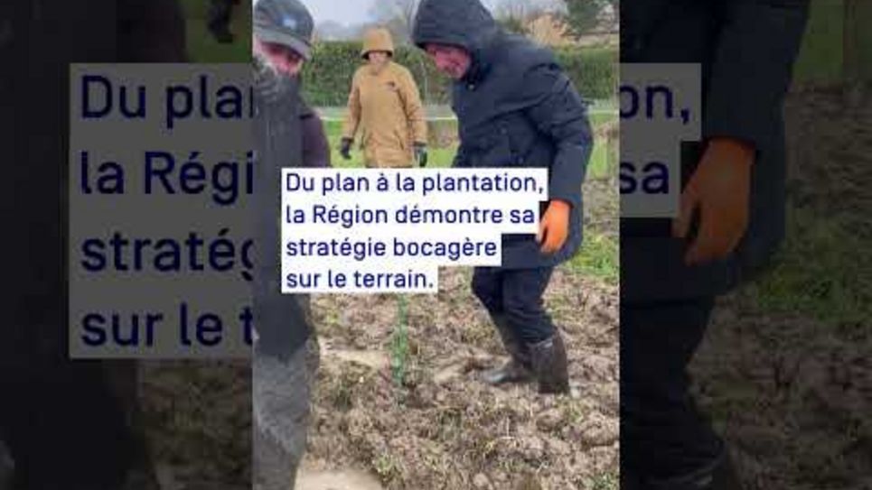 Vidéo